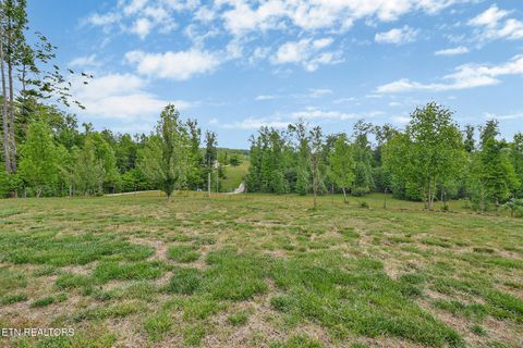 Tiny photo for 2930 Doc Loy Rd, Grandview, TN 37337 (MLS # 1345269)