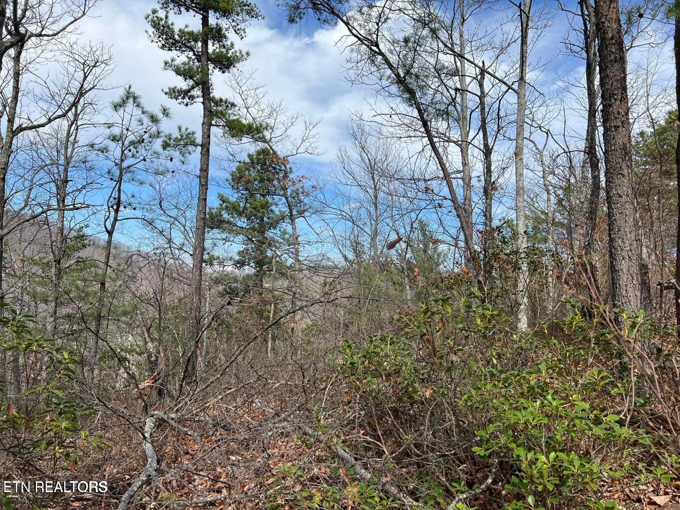 Chestnut Ridge Court