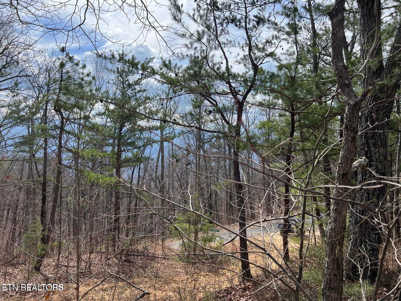 Chestnut Ridge Court