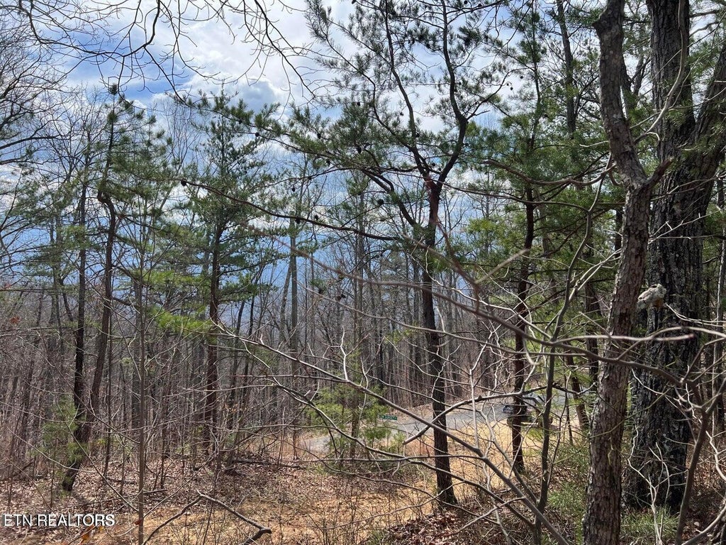 Photo of Chestnut Ridge Court, Sevierville, TN 37876 (MLS # 1358618)