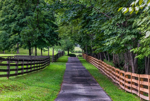 Tiny photo for 3790 Hollybrook Rd, Rockford, TN 37853 (MLS # 1359025)