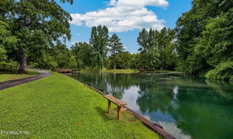 Tiny photo for 3790 Hollybrook Rd, Rockford, TN 37853 (MLS # 1359025)