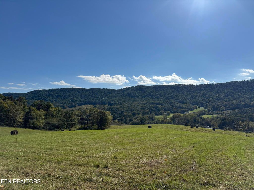 Photo of 3225 Little Sycamore Rd, Tazewell, TN 37879 (MLS # 1317815)