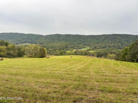 Photo of 3225 Little Sycamore Rd, Tazewell, TN 37879 (MLS # 1317815)