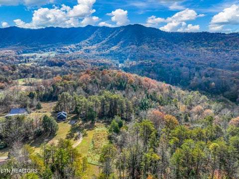 Tiny photo for 125133 Westwing Cave Rd, Townsend, TN 37882 (MLS # 1346110)