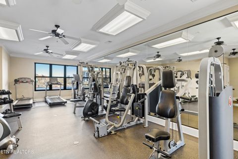 Tiny photo for 445 W Blount Ave #325, Knoxville, TN 37920 (MLS # 1336337)