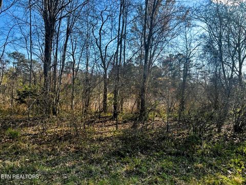 Tiny photo for 3 Lamontville Rd, Decatur, TN 37322 (MLS # 1338328)