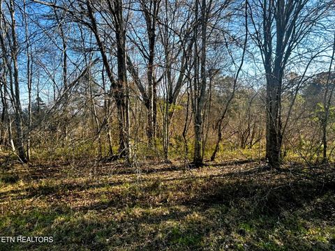 Tiny photo for 3 Lamontville Rd, Decatur, TN 37322 (MLS # 1338328)