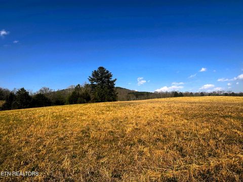 Tiny photo for 3 Lamontville Rd, Decatur, TN 37322 (MLS # 1338328)