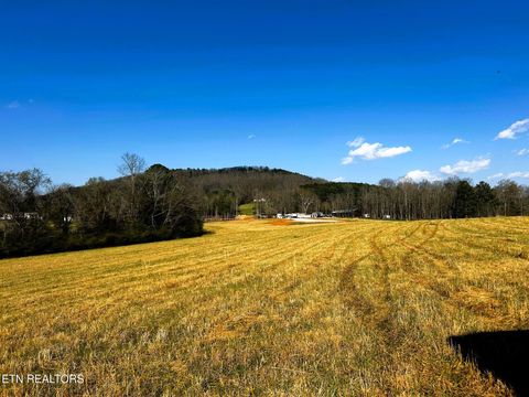 Tiny photo for 3 Lamontville Rd, Decatur, TN 37322 (MLS # 1338328)