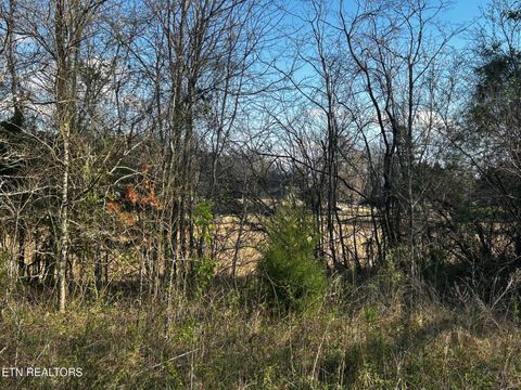 Tiny photo for 3 Lamontville Rd, Decatur, TN 37322 (MLS # 1338328)