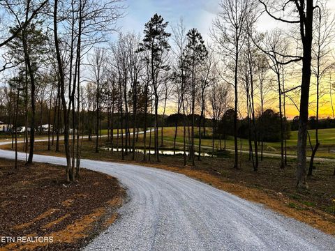 Tiny photo for 3 Lamontville Rd, Decatur, TN 37322 (MLS # 1338328)