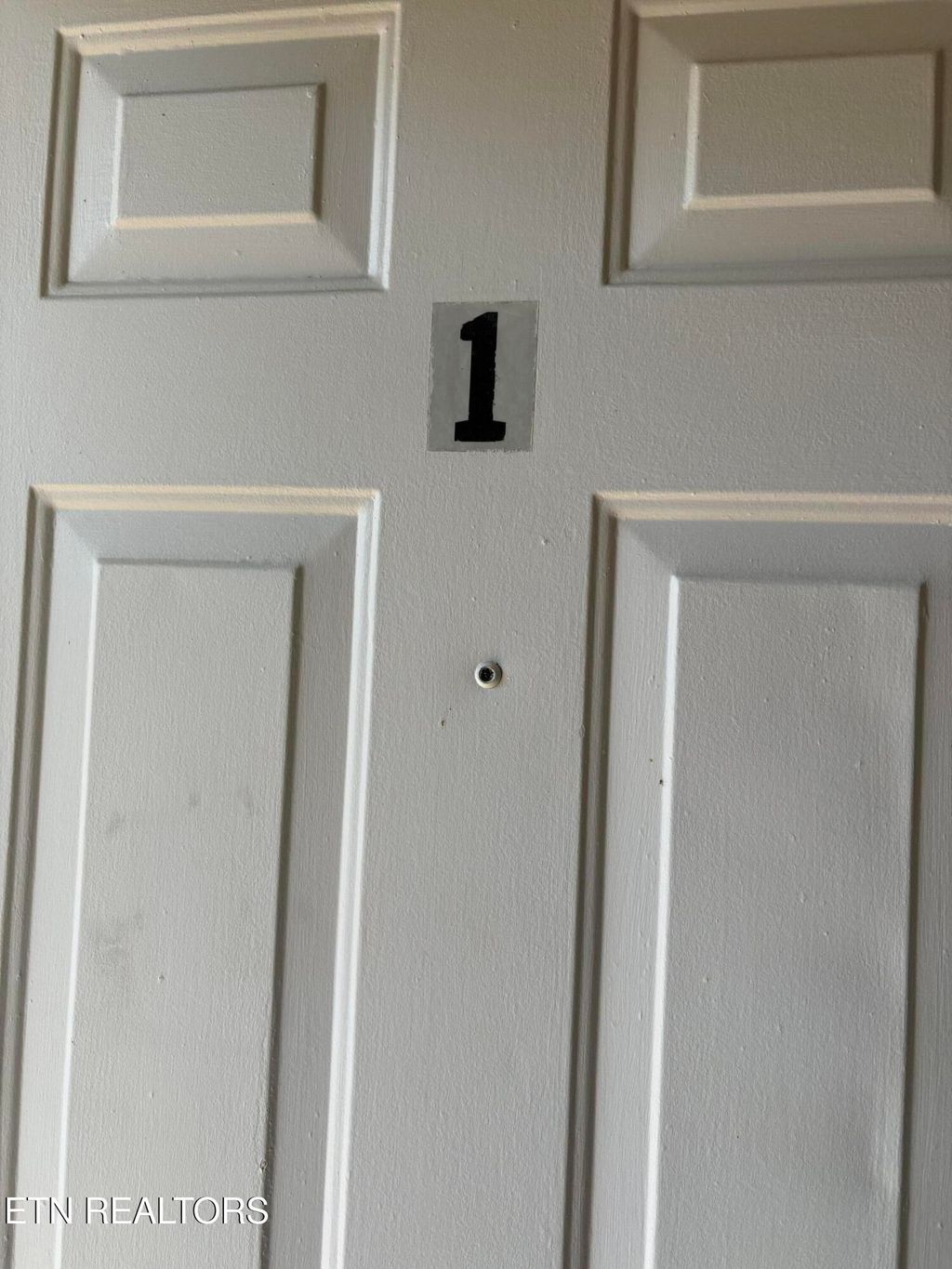 Photo of 215 E Race St #1, Kingston, TN 37763 (MLS # 1338059)