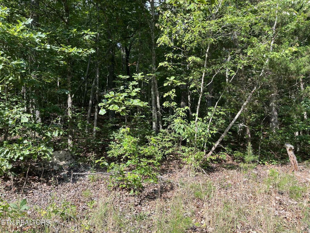 Photo of 4 Keylon Hollow Road, Ten Mile, TN 37880 (MLS # 1307970)