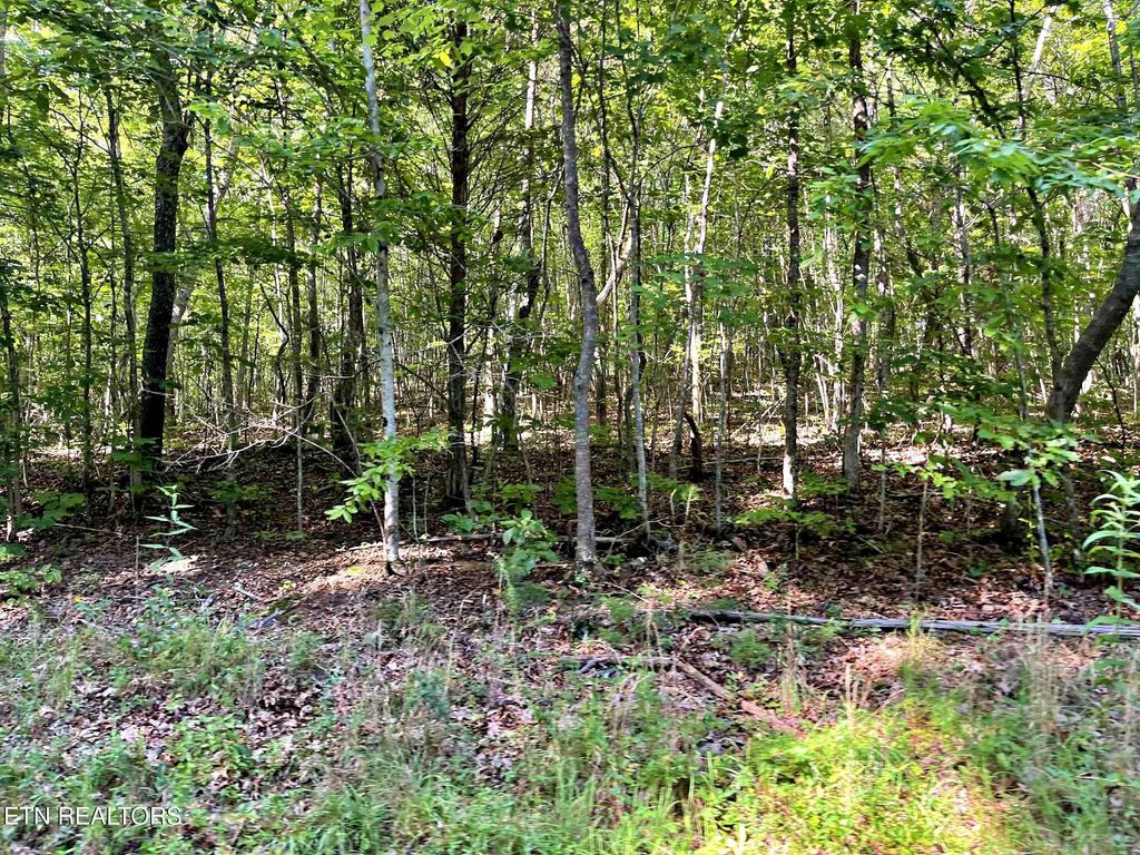 Photo of 4 Keylon Hollow Road, Ten Mile, TN 37880 (MLS # 1307970)