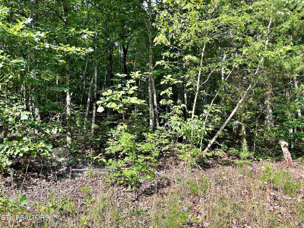 Photo of 4 Keylon Hollow Road, Ten Mile, TN 37880 (MLS # 1307970)