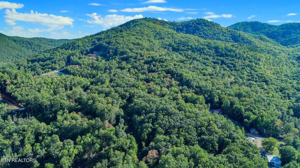 Photo of 142 Delicious Way Way, Newport, TN 37821 (MLS # 1318109)