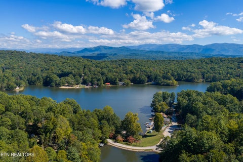 Tiny photo for 5903 Omega Drive, Tallassee, TN 37878 (MLS # 1358321)