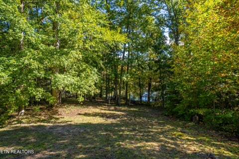 Tiny photo for 5903 Omega Drive, Tallassee, TN 37878 (MLS # 1358321)