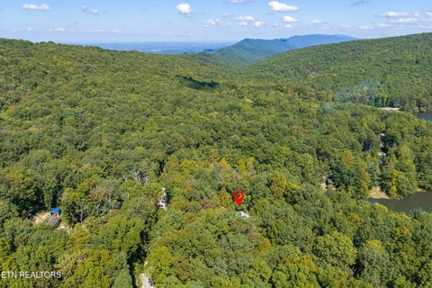 Tiny photo for 5903 Omega Drive, Tallassee, TN 37878 (MLS # 1358321)
