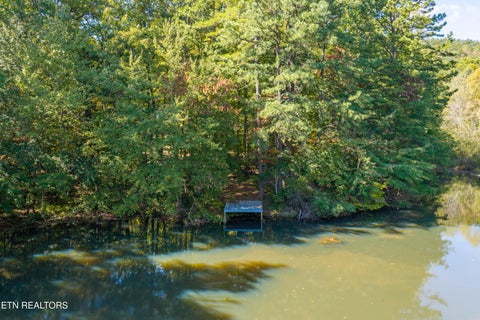 Tiny photo for 5903 Omega Drive, Tallassee, TN 37878 (MLS # 1358321)
