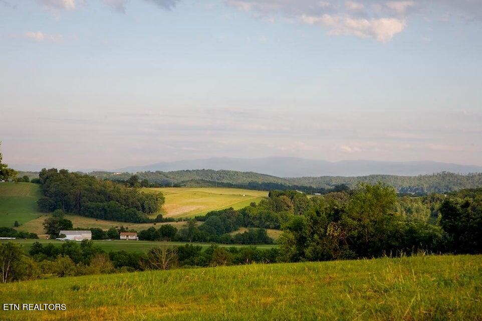 View Loudon, TN 37774 land