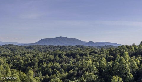 Tiny photo for 409 Compass Point Way, Sevierville, TN 37876 (MLS # 1356230)