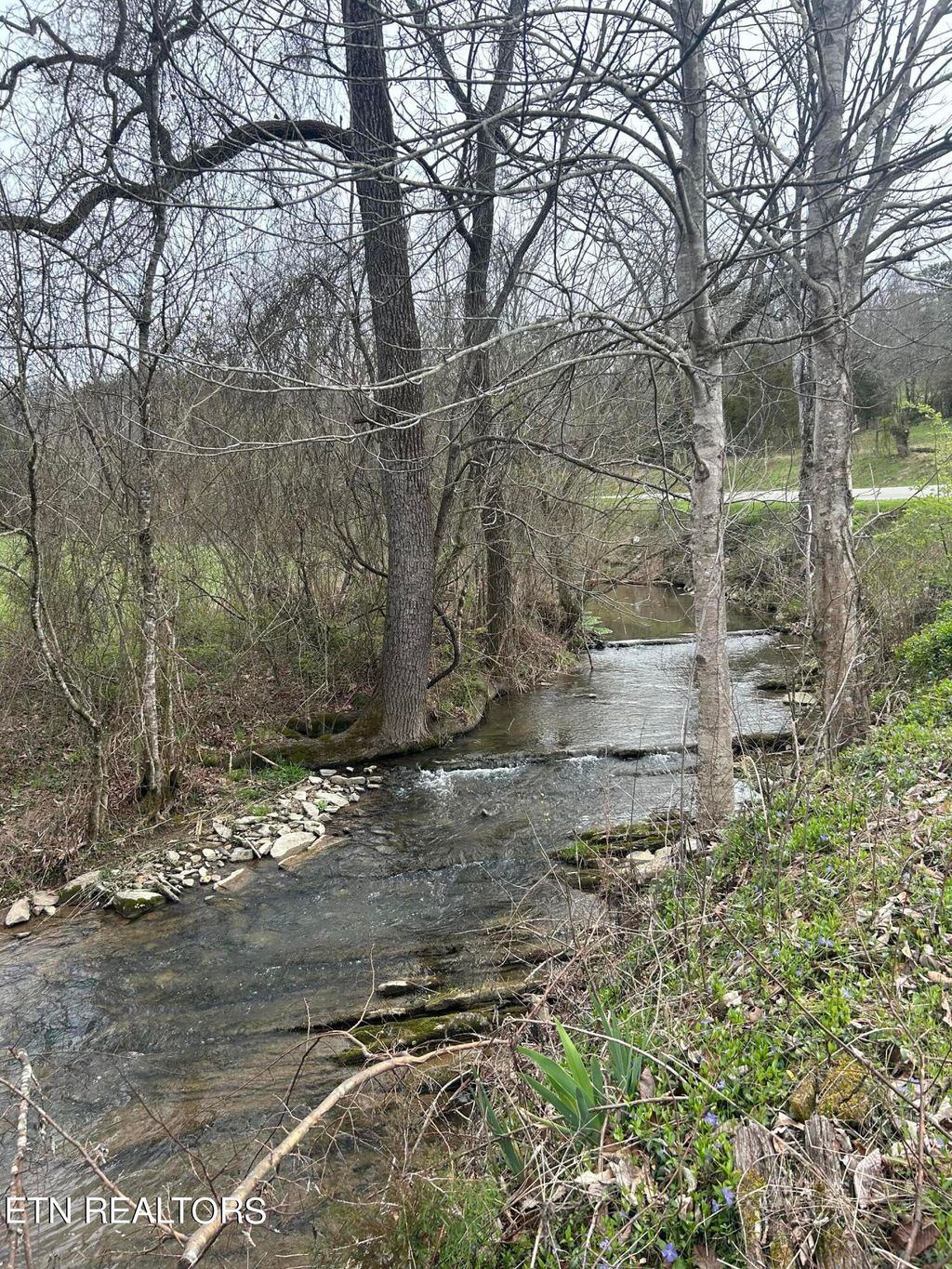 Photo of 731 Old Hwy 33, Maynardville, TN 37807 (MLS # 1257305)