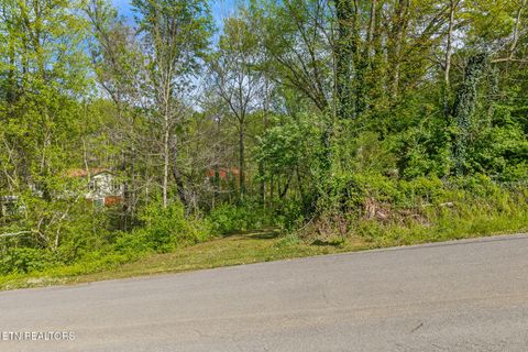Photo of 0 Kinzalow Drive, Sweetwater, TN 37874 (MLS # 1336724)