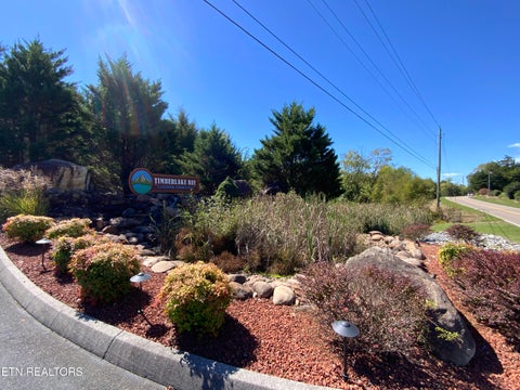 Tiny photo for 1128 Sanctuary Shores Way, Sevierville, TN 37876 (MLS # 1357555)