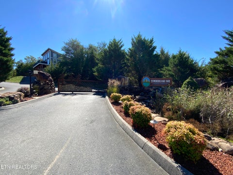 Tiny photo for 1128 Sanctuary Shores Way, Sevierville, TN 37876 (MLS # 1357555)