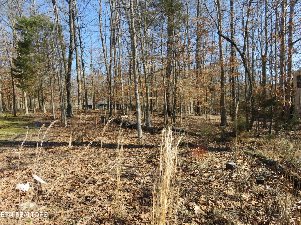 Photo of Golanvyi Tr, Vonore, TN 37885 (MLS # 1251459)