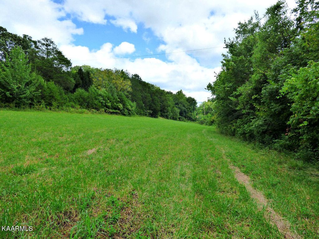 Photo of 2 Cody Rd, White Pine, TN 37890 (MLS # 1236145)