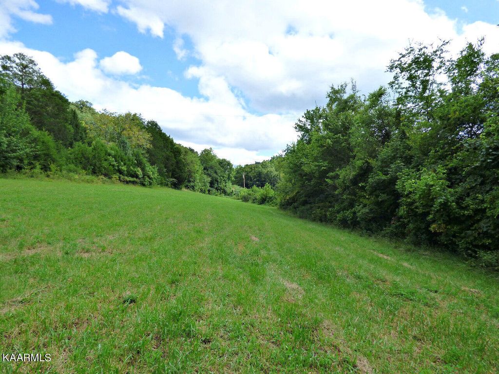 Photo of 2 Cody Rd, White Pine, TN 37890 (MLS # 1236145)