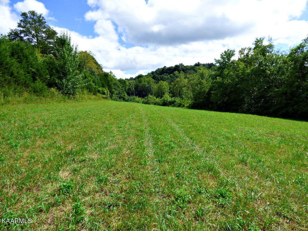 Photo of 2 Cody Rd, White Pine, TN 37890 (MLS # 1236145)