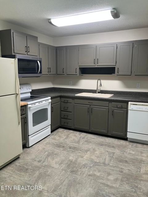 Tiny photo for 6119 Cougar DR, Knoxville, TN 37921 (MLS # 1340492)