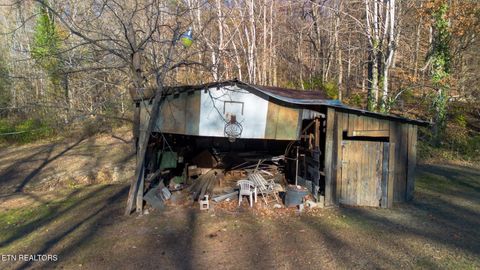 Tiny photo for 1480 Halls Top Rd, Newport, TN 37821 (MLS # 1322270)