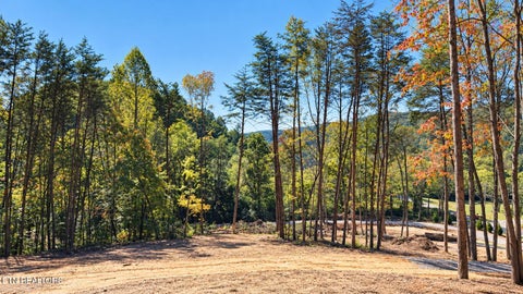 Tiny photo for 1134 Tarklin Valley Rd, Knoxville, TN 37920 (MLS # 1358436)