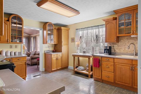 Tiny photo for 2485 Indian Ridge Rd, Blaine, TN 37709 (MLS # 1334103)