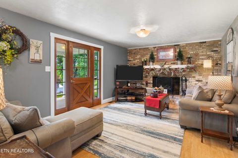 Tiny photo for 2485 Indian Ridge Rd, Blaine, TN 37709 (MLS # 1334103)