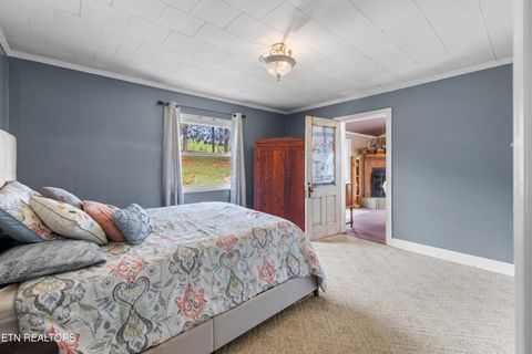 Tiny photo for 2485 Indian Ridge Rd, Blaine, TN 37709 (MLS # 1334103)