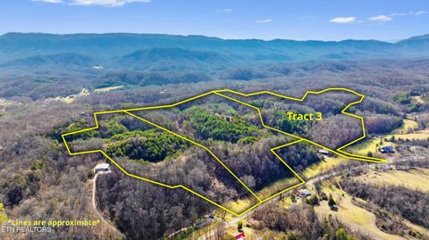Tract 3 Wye Drive Seymour TN 37865