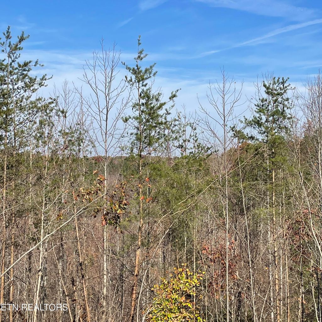 Photo of 328 Boiling Springs Rd, Vonore, TN 37885 (MLS # 1283004)