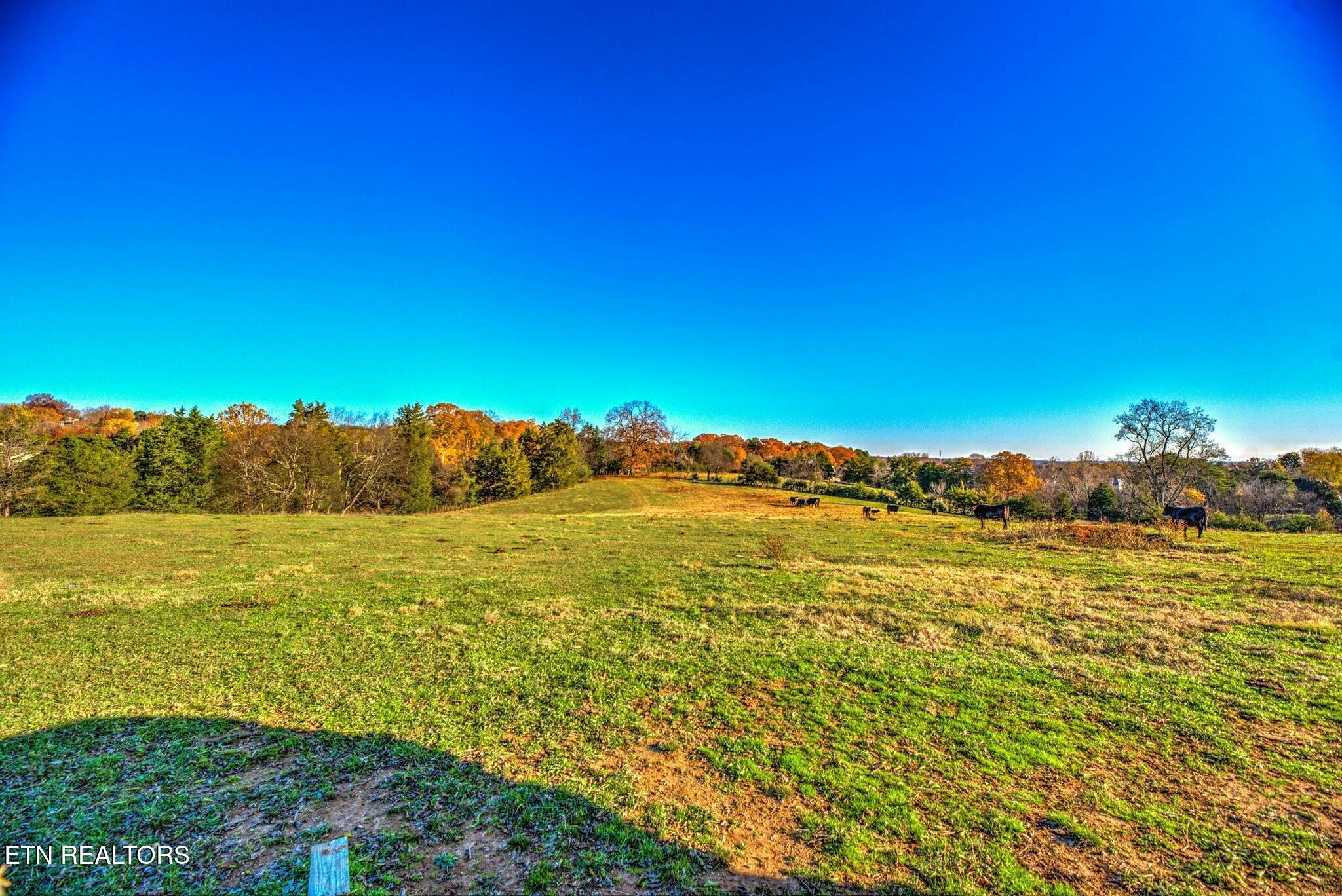 11546 Snyder Rd