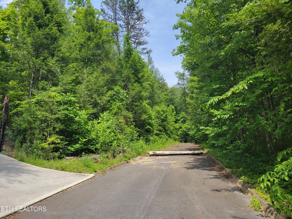 Photo of 15 Peace Lane, Cosby, TN 37722 (MLS # 1342016)