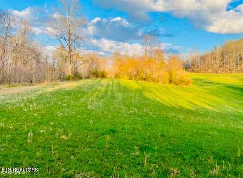 Tiny photo for Chestnut Grove Rd, New Tazewell, TN 37825 (MLS # 1317082)