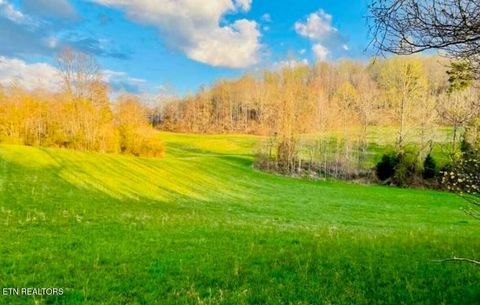 Tiny photo for Chestnut Grove Rd, New Tazewell, TN 37825 (MLS # 1317082)