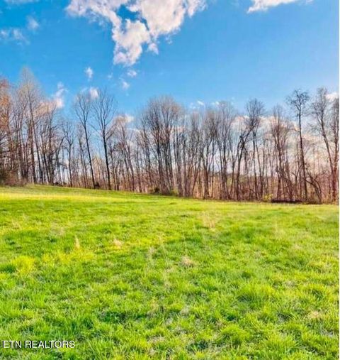 Tiny photo for Chestnut Grove Rd, New Tazewell, TN 37825 (MLS # 1317082)