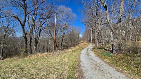Tiny photo for Chestnut Grove Rd, New Tazewell, TN 37825 (MLS # 1317082)