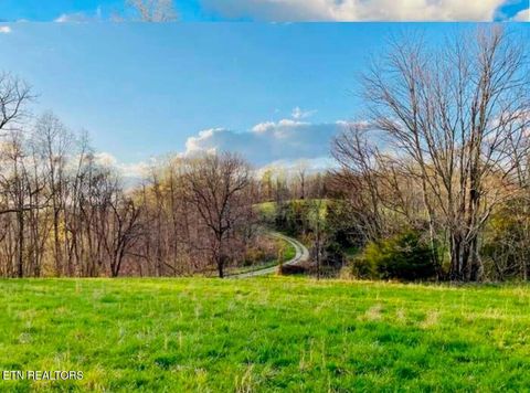 Photo of Chestnut Grove Rd, New Tazewell, TN 37825 (MLS # 1317082)